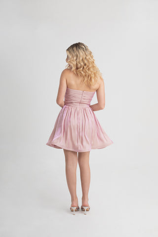 Rosé Dress