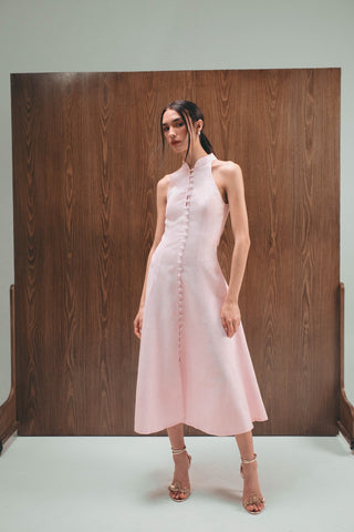 Bianca Pink Dress